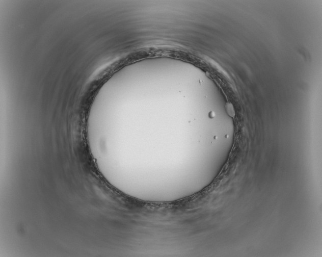 X0000112370775200909031930