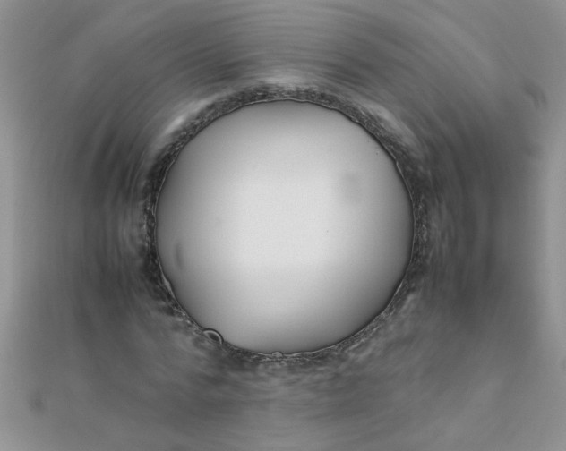 X0000112370776200909031930