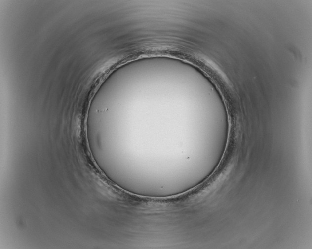 X0000112370777200909031930