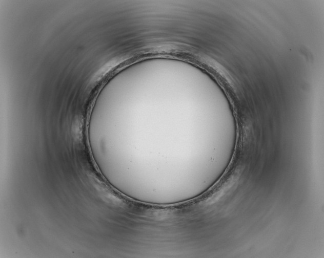 X0000112370778200909031930