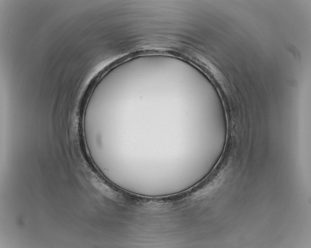 X0000112370779200909031930