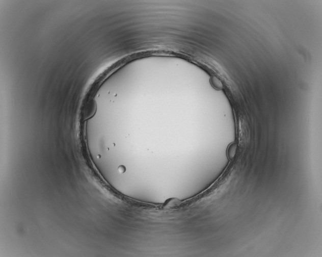 X0000112370780200909031930