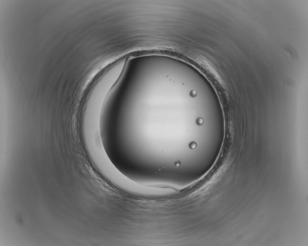 X0000112370781200909031930