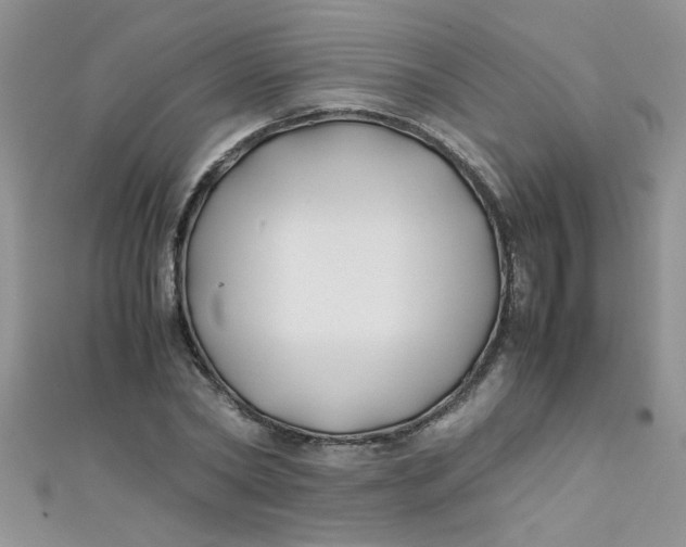 X0000112370782200909031930