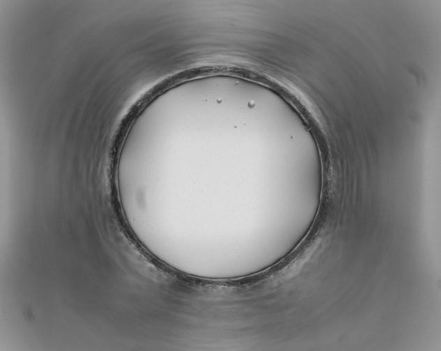 X0000112370783200909031930