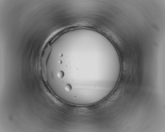 X0000112370784200909031930