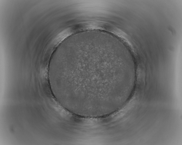 X0000112370785200909031930