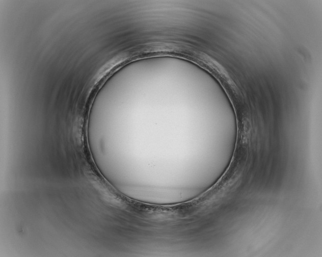 X0000112370786200909031930