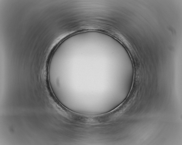 X0000112370787200909031930