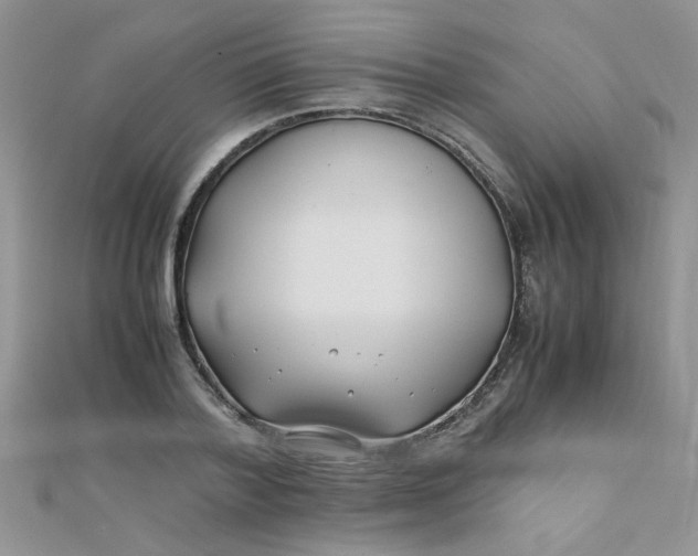 X0000112370788200909031930