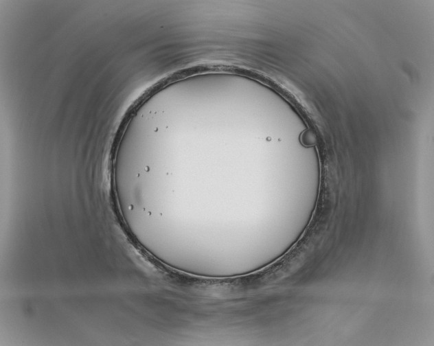 X0000112370791200909031930