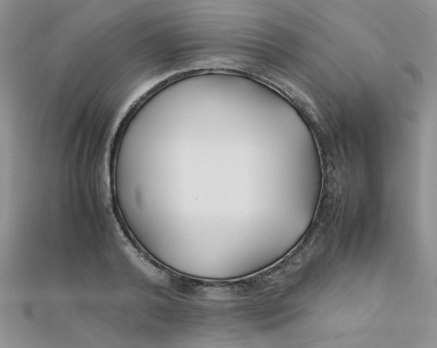 X0000112370792200909031930