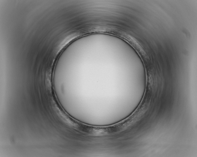 X0000112370794200909031930