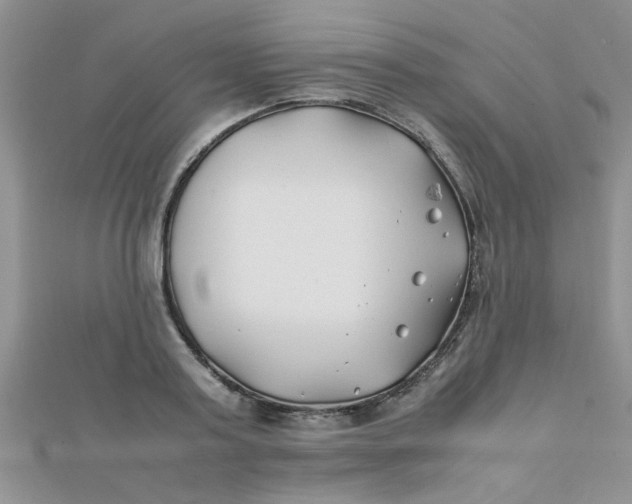 X0000112370795200909031930