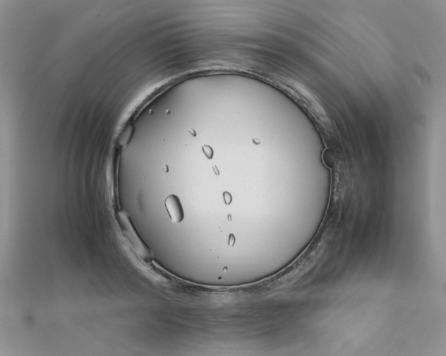 X0000112370796200909031930