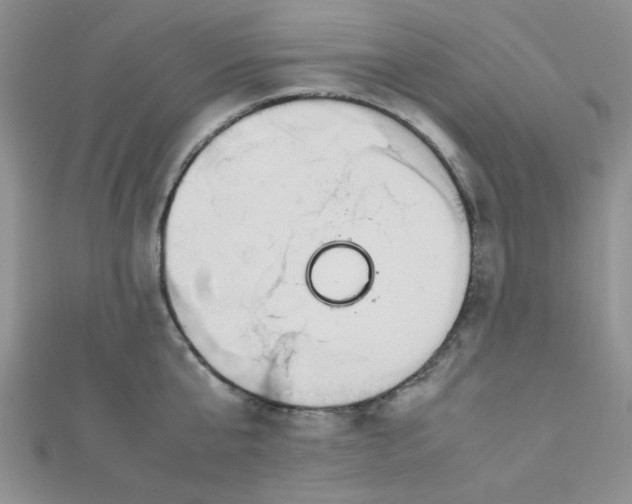 X0000112370807200909031930