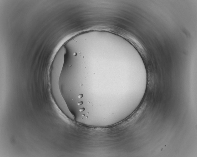 X0000112370808200909031930