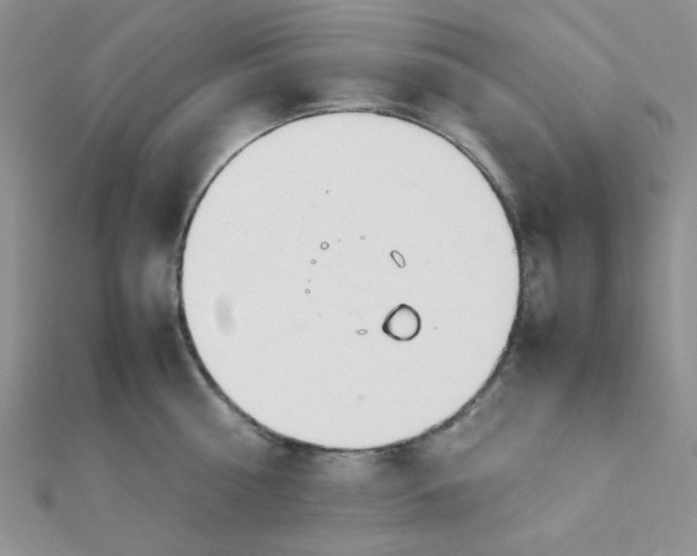 X0000112370810200909031930