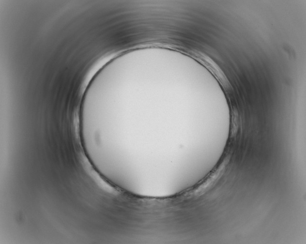 X0000112370812200909031930