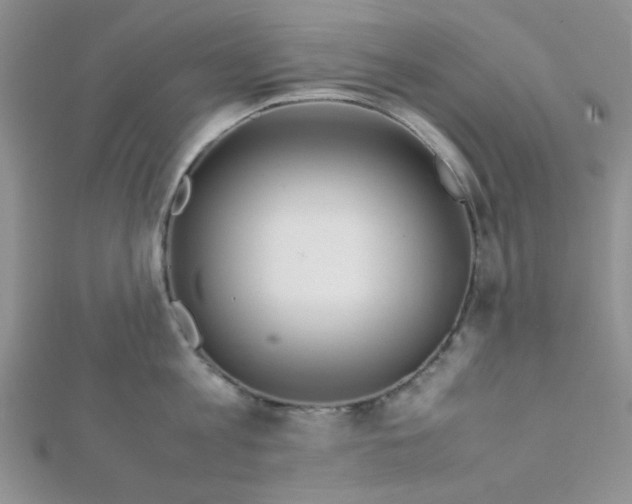 X0000112370813200909031930