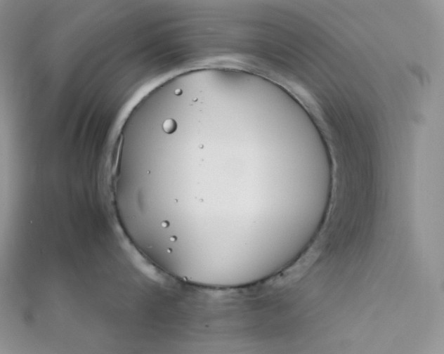 X0000112370816200909031930