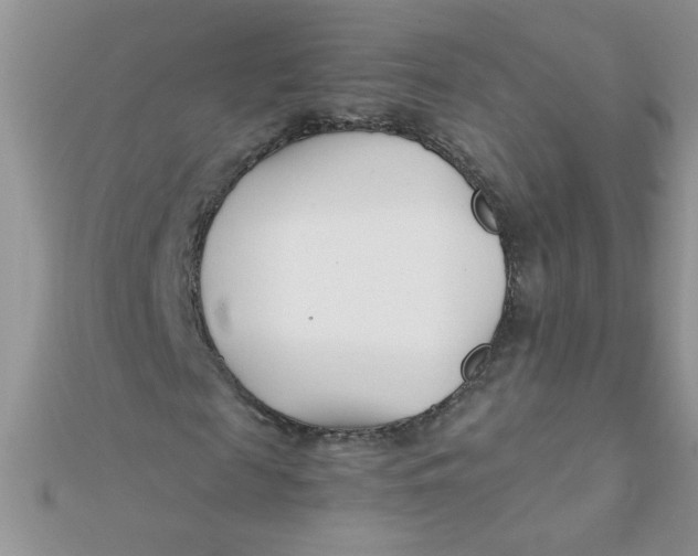 X0000112370817200909031929