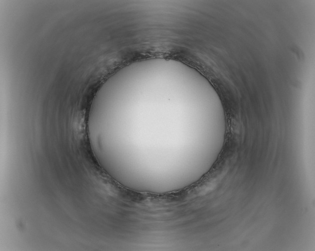 X0000112370818200909031929