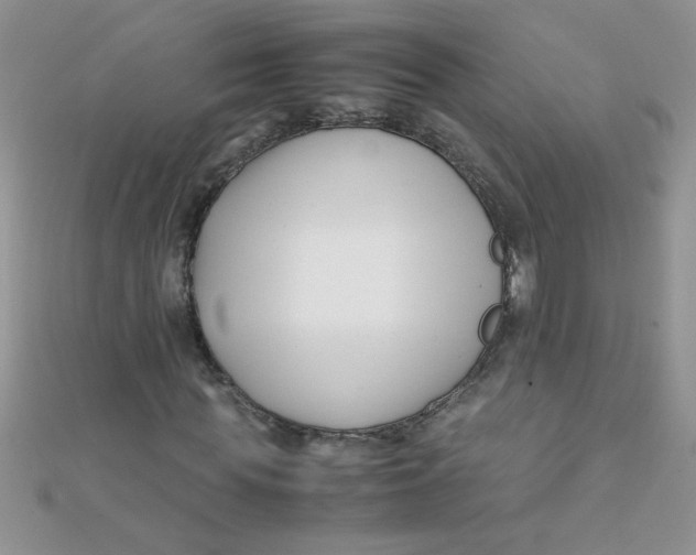 X0000112370819200909031929