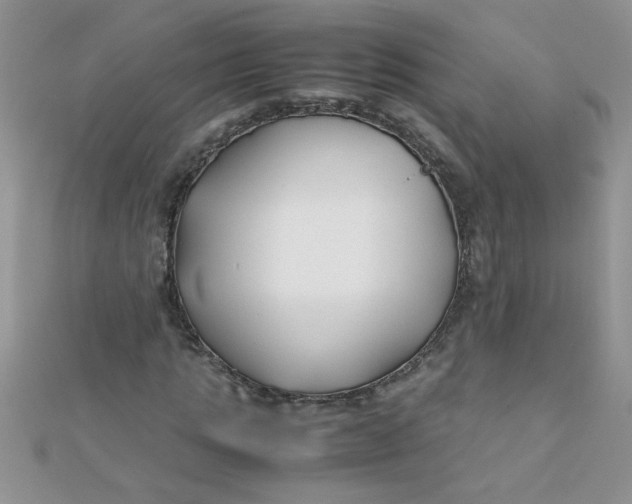 X0000112370821200909031929