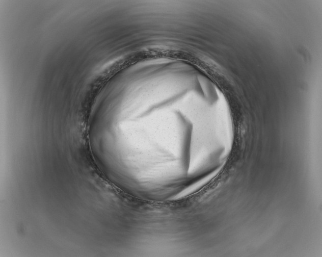 X0000112370822200909031929