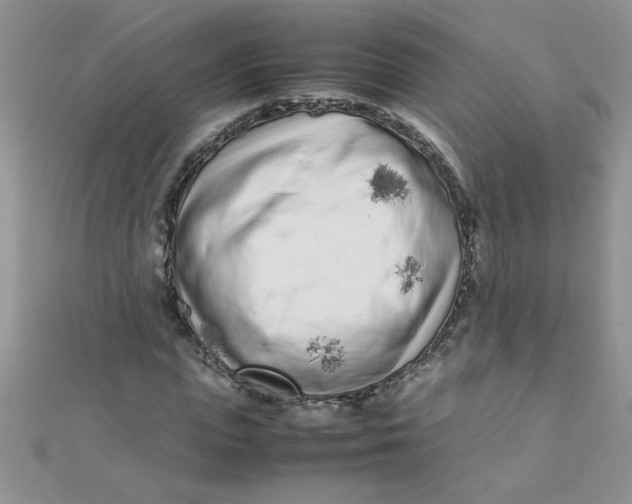 X0000112370823200909031929