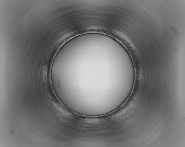 X0000112370825200909031929