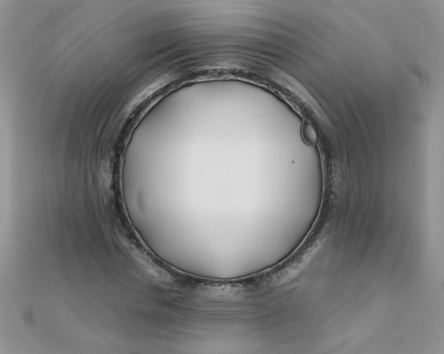 X0000112370826200909031929