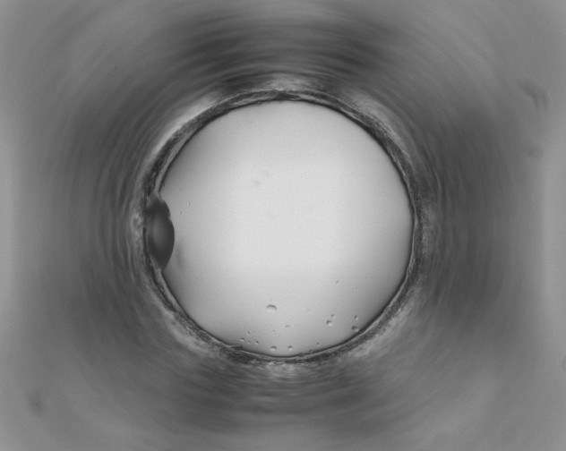 X0000112370827200909031929