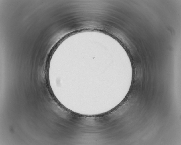 X0000112370828200909031929