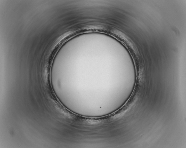 X0000112370829200909031929