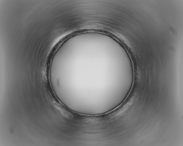 X0000112370830200909031929