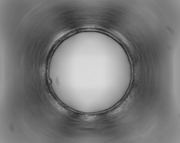 X0000112370831200909031929