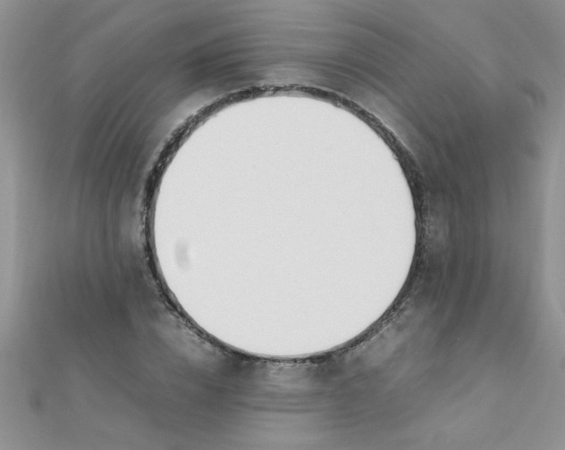 X0000112370832200909031929