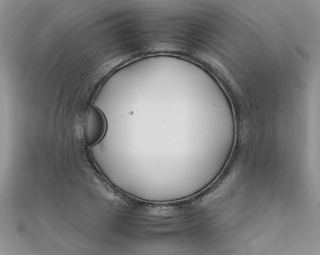 X0000112370833200909031929