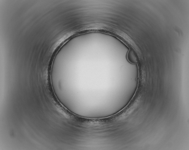 X0000112370834200909031929