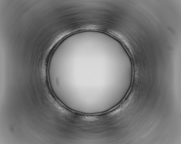 X0000112370835200909031929