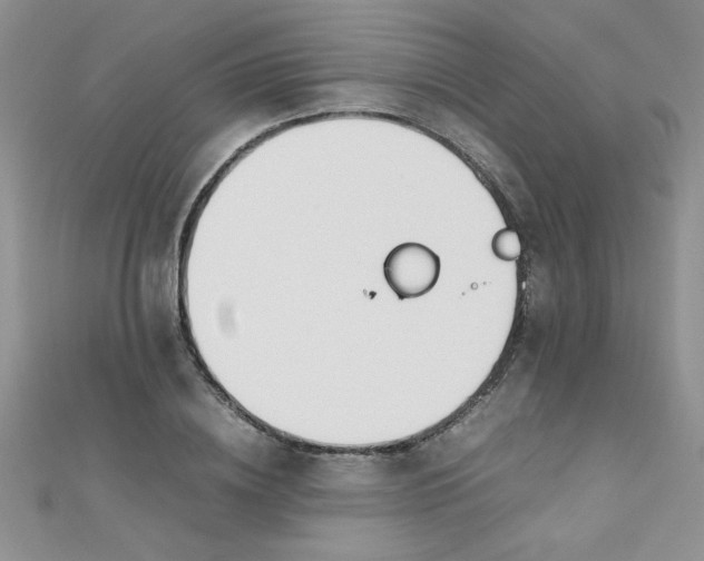 X0000112370836200909031929