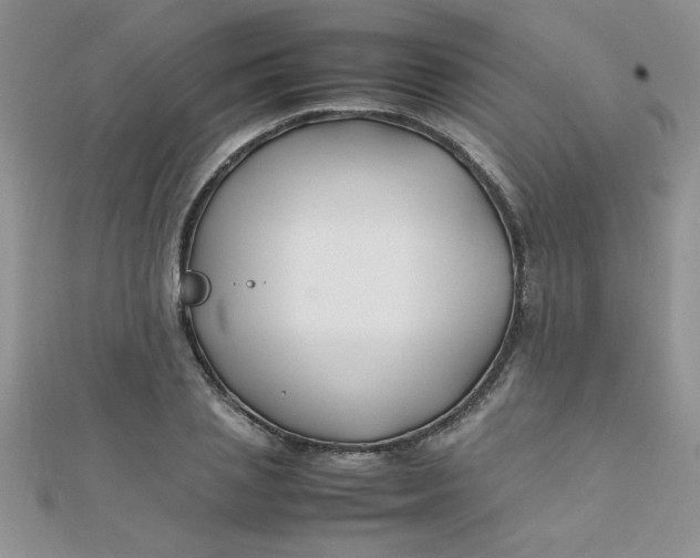 X0000112370837200909031929