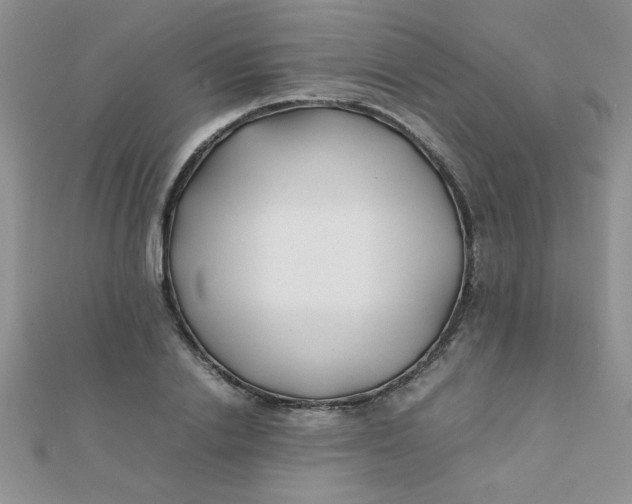 X0000112370838200909031929