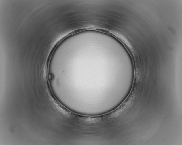 X0000112370839200909031929