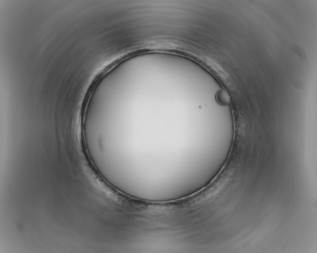 X0000112370840200909031929