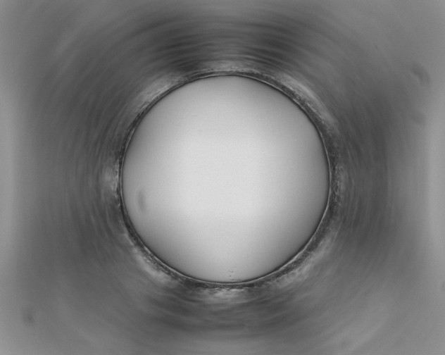 X0000112370841200909031929