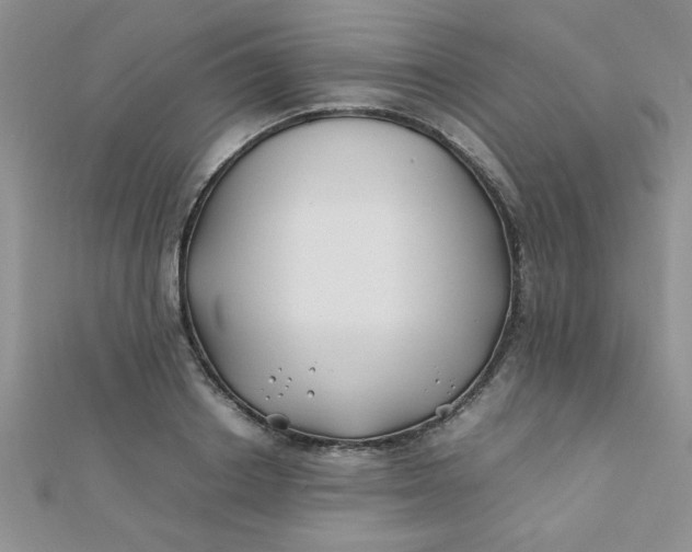 X0000112370842200909031930