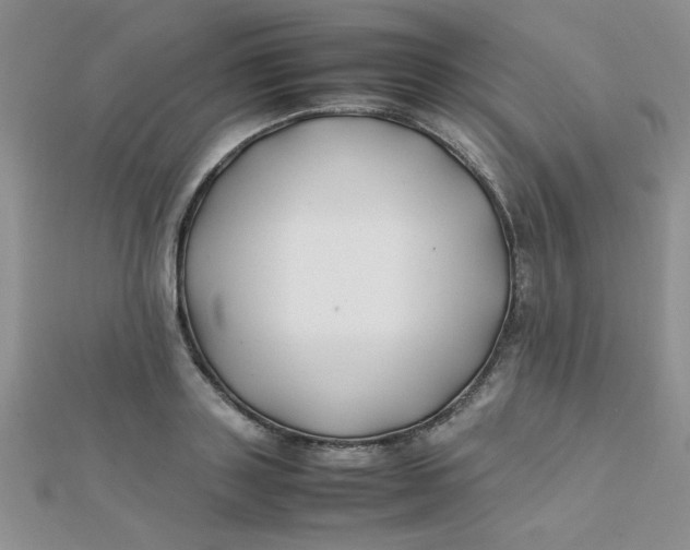 X0000112370843200909031930